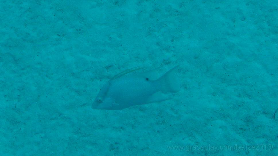 DSC01668.JPG