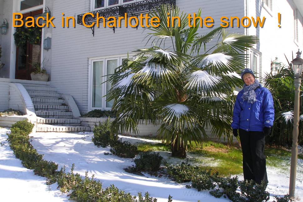 P1314907.JPG - OLYMPUS DIGITAL CAMERA         